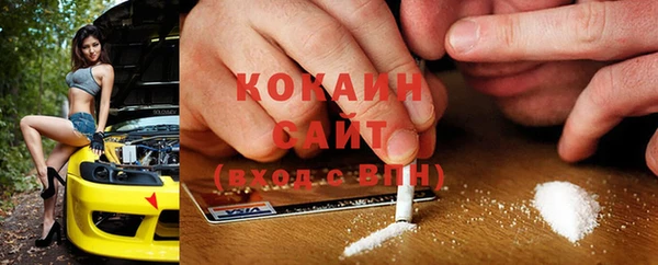 тгк Абаза